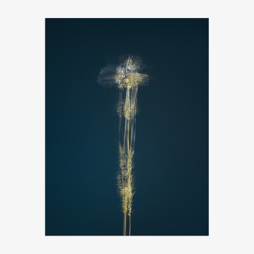 Photograph by Jan Prengel