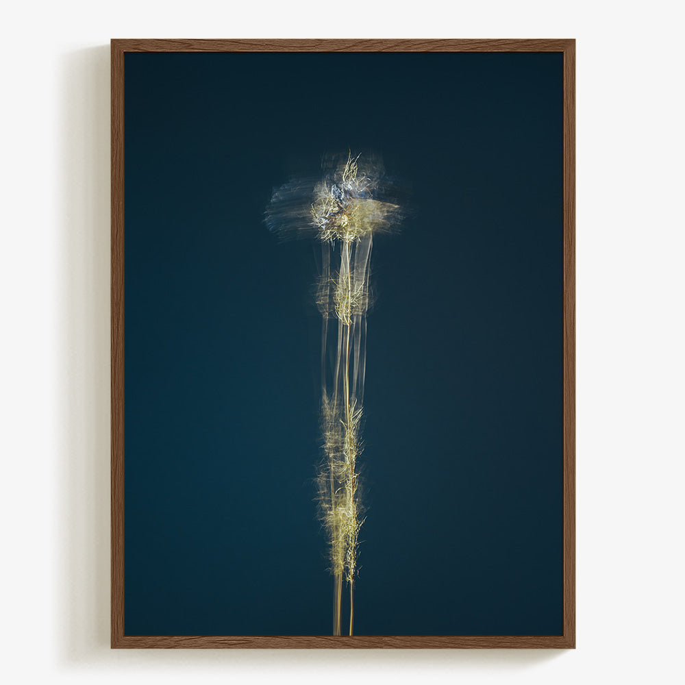 Photograph by Jan Prengel