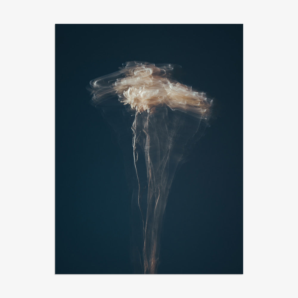 Photograph by Jan Prengel