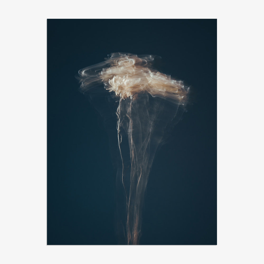 Photograph by Jan Prengel