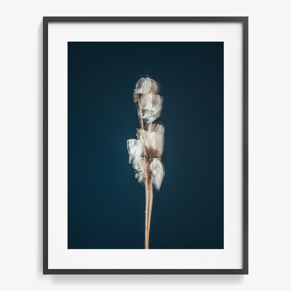 Photograph by Jan Prengel