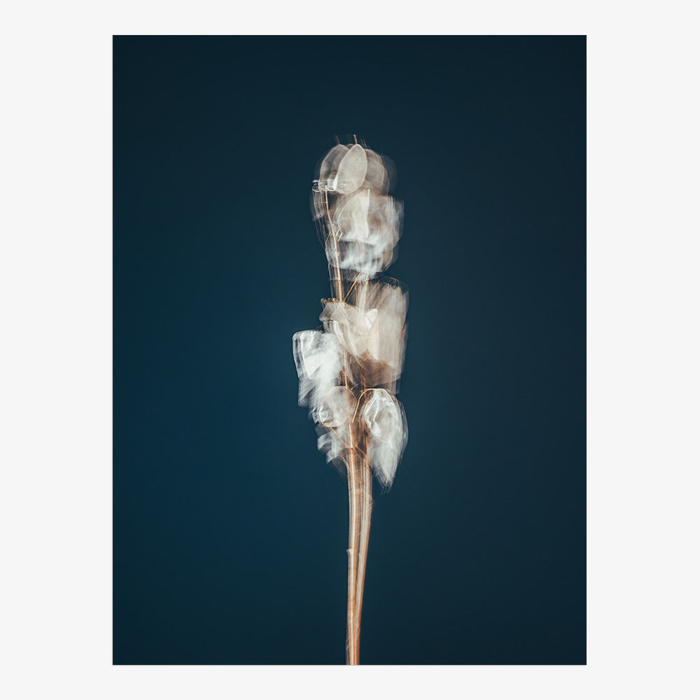 Photograph by Jan Prengel