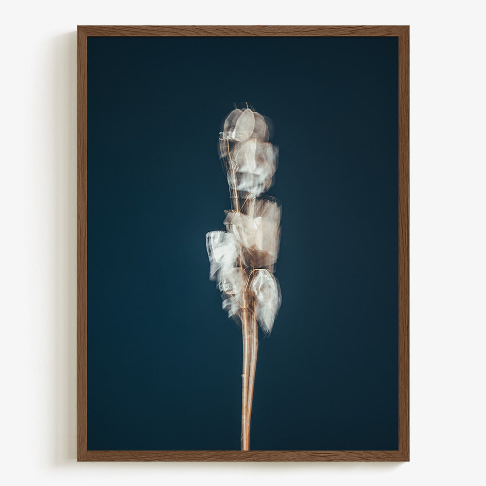 Photograph by Jan Prengel