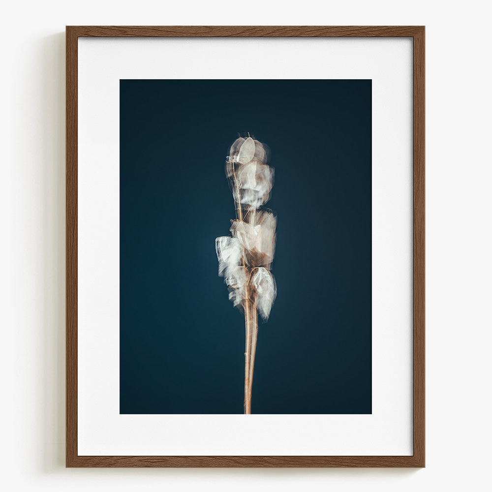 Photograph by Jan Prengel