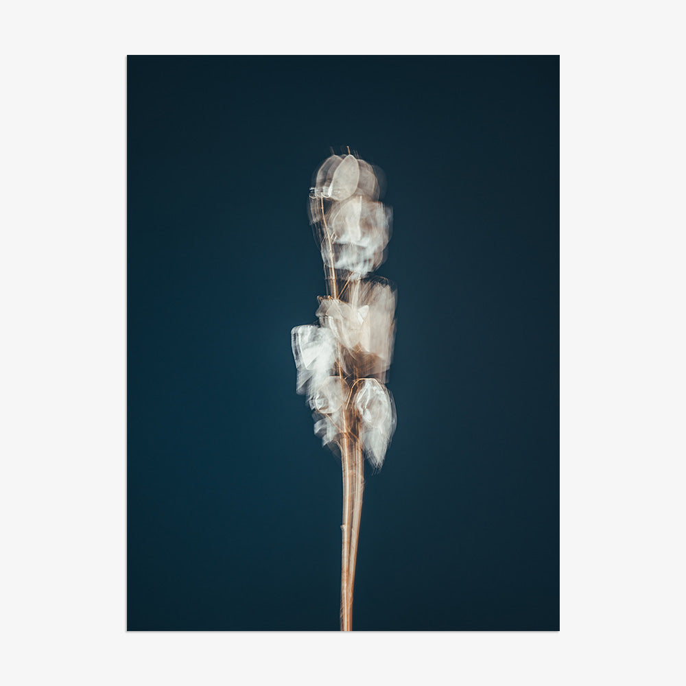 Photograph by Jan Prengel