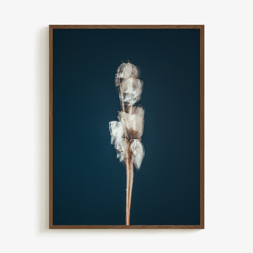 Photograph by Jan Prengel