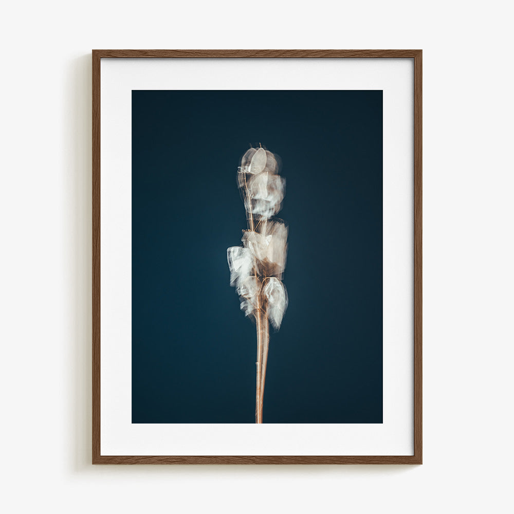 Photograph by Jan Prengel