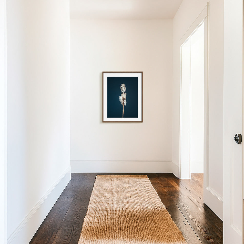 Photograph by Jan Prengel