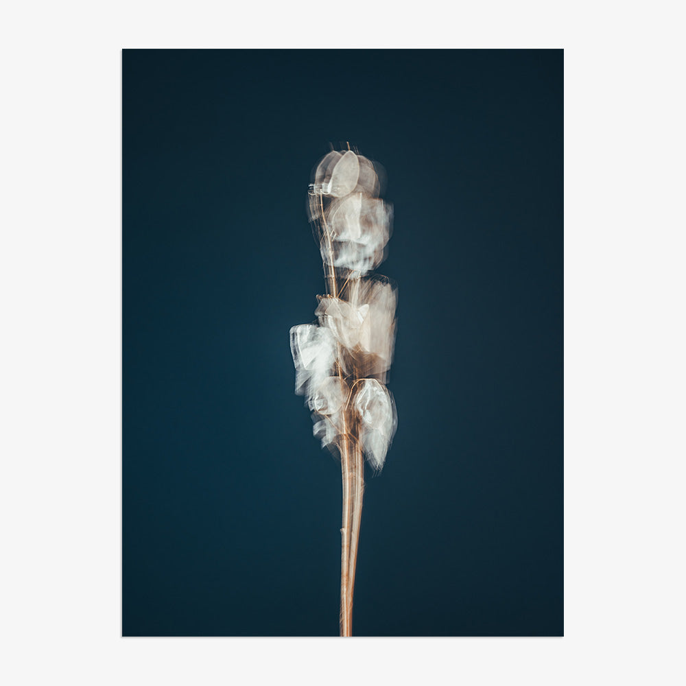 Photograph by Jan Prengel