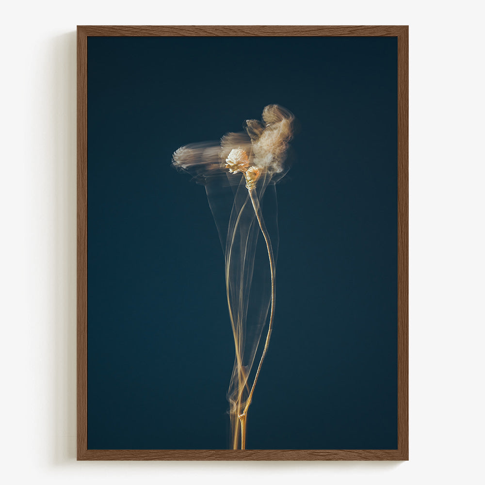 Photograph by Jan Prengel