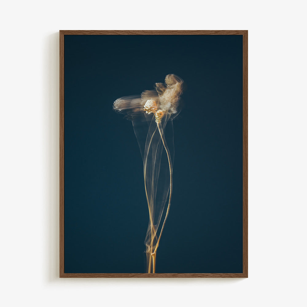 Photograph by Jan Prengel