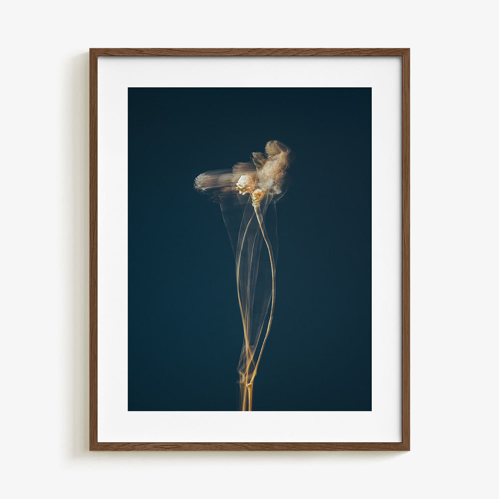 Photograph by Jan Prengel