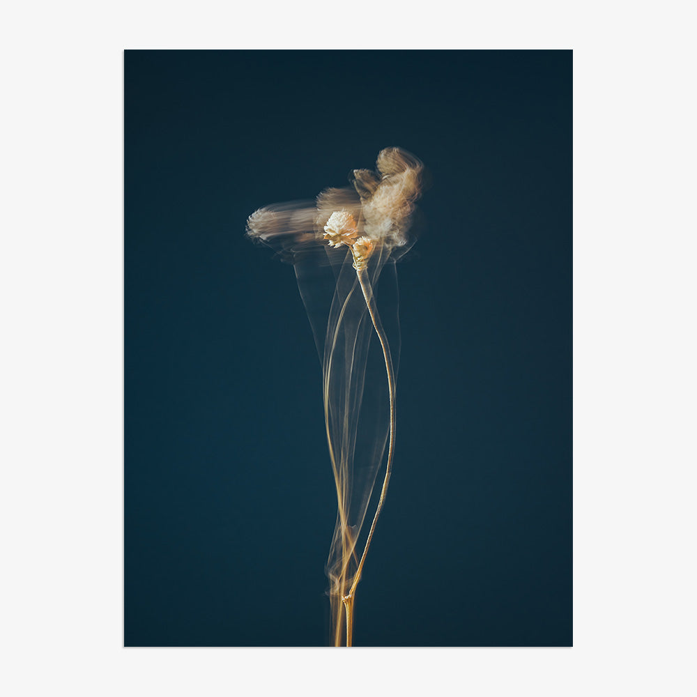 Photograph by Jan Prengel