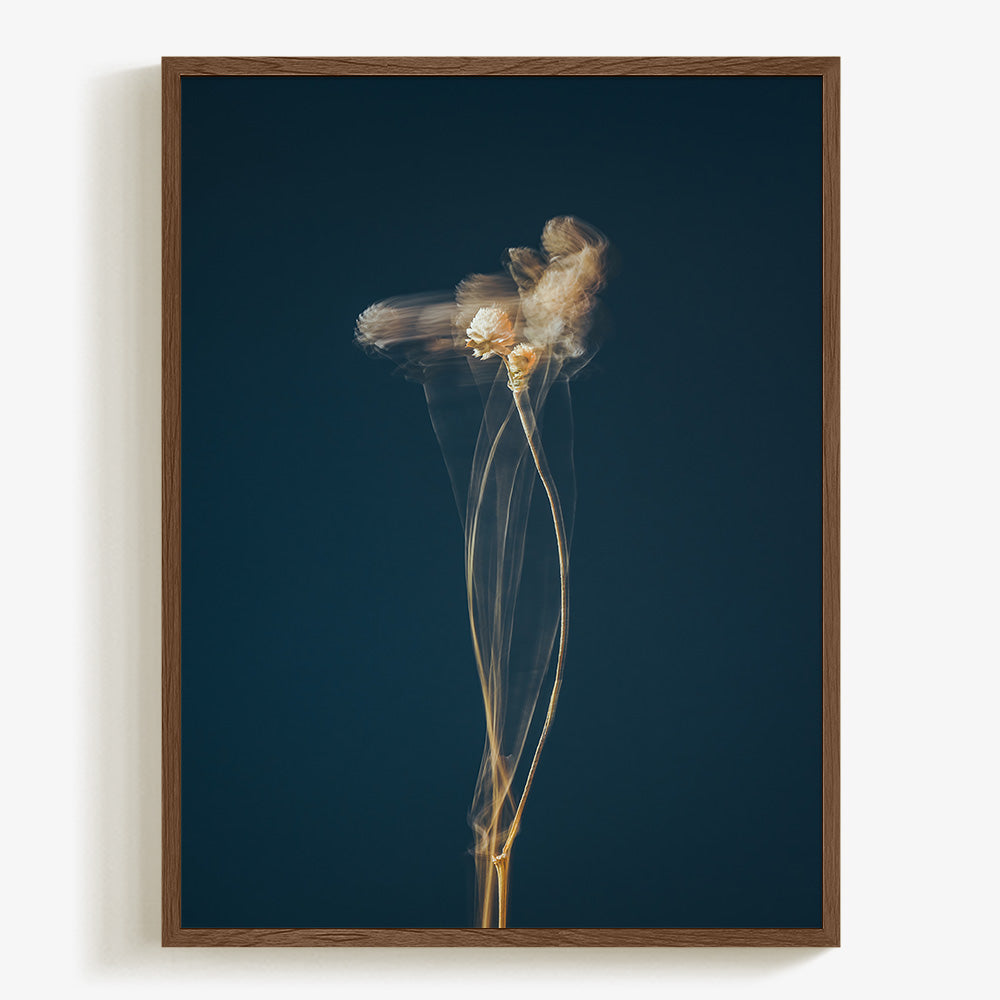 Photograph by Jan Prengel