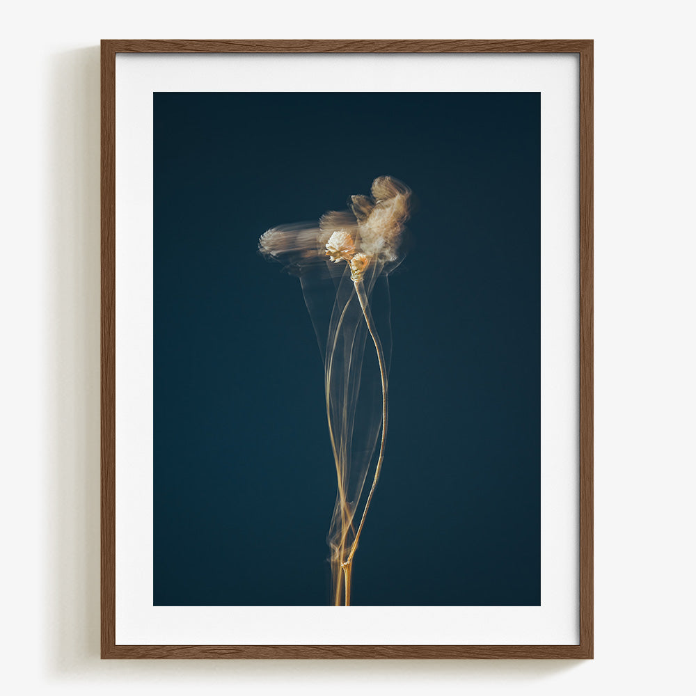 Photograph by Jan Prengel