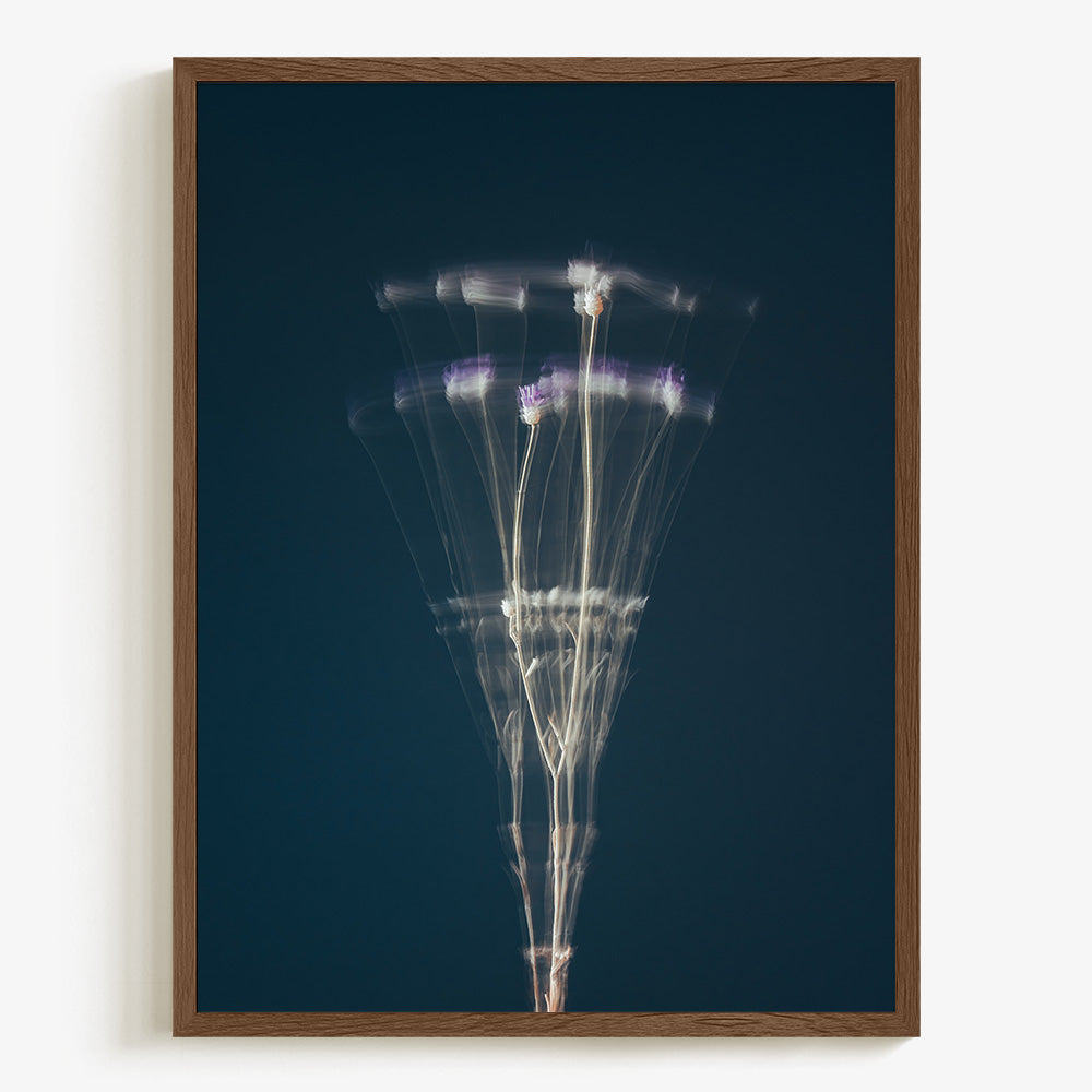 Photograph by Jan Prengel