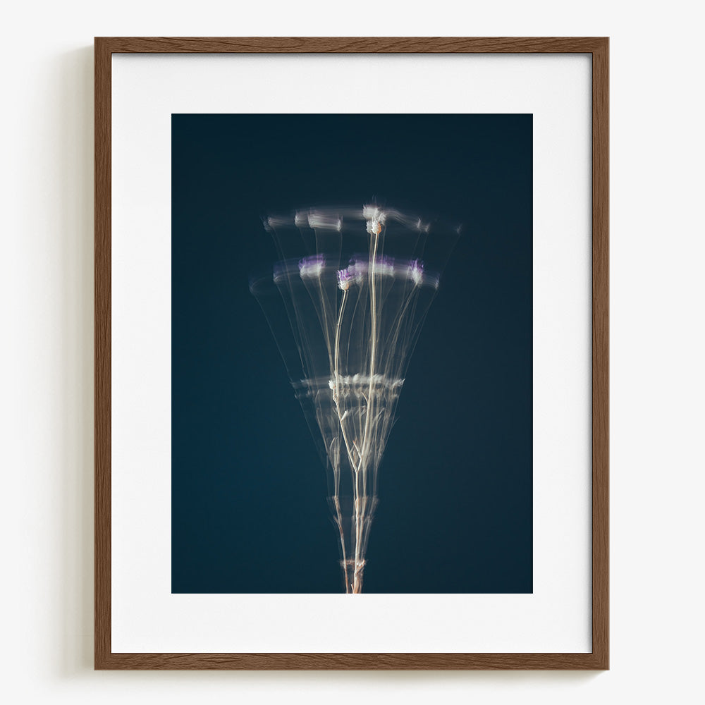 Photograph by Jan Prengel