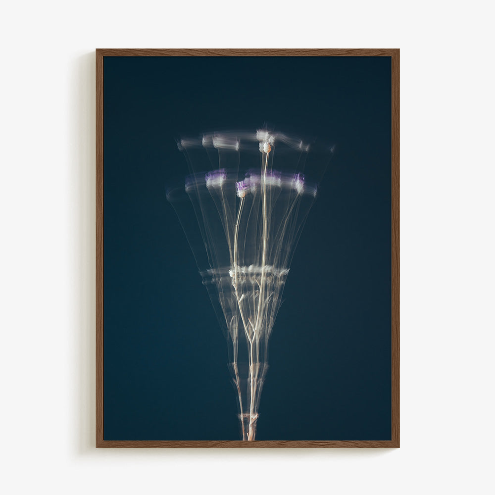 Photograph by Jan Prengel