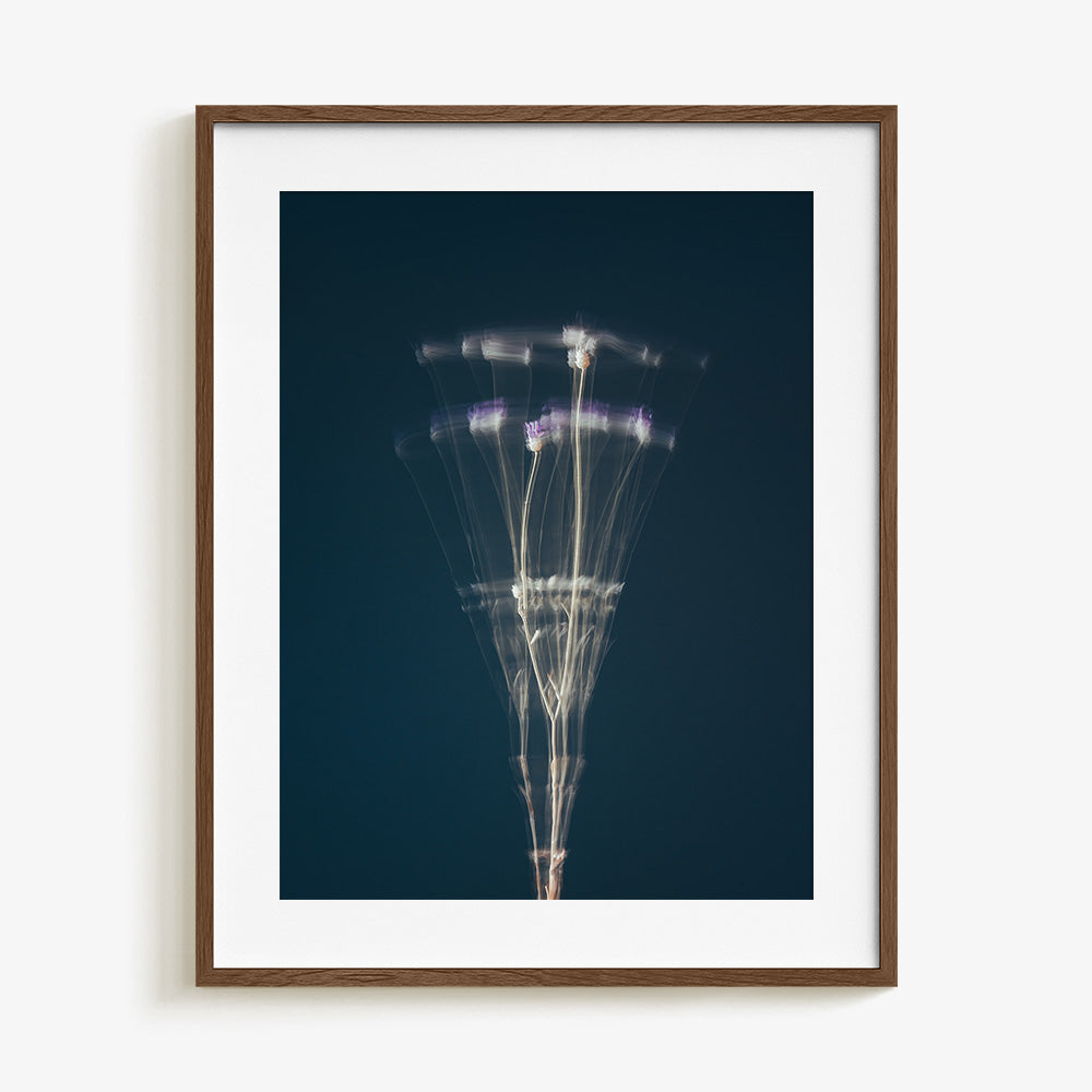 Photograph by Jan Prengel