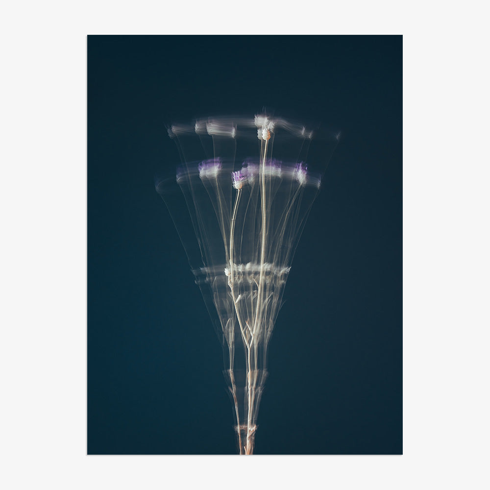 Photograph by Jan Prengel