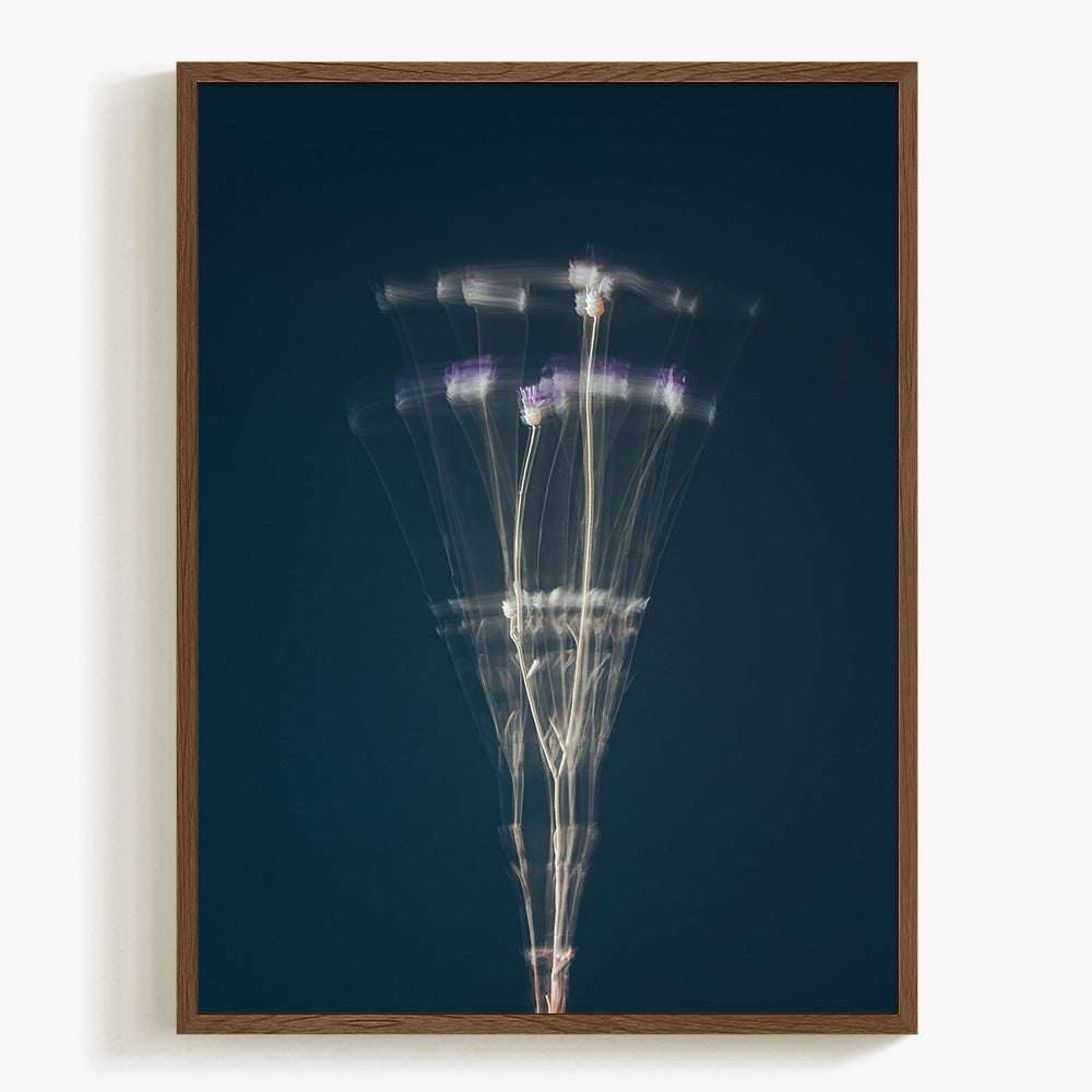 Photograph by Jan Prengel