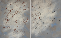 A diptych abstract artwork featuring two panels with brown and black textured marks on a muted white and blue field