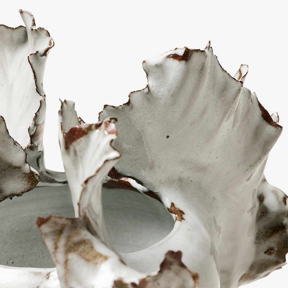 Iris N.8