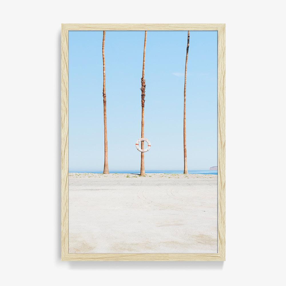 Jetty 17