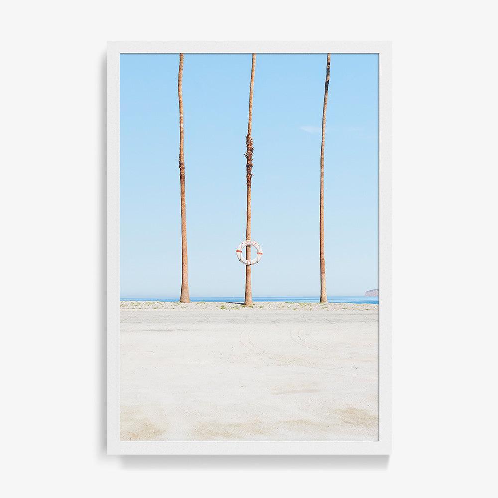 Jetty 17