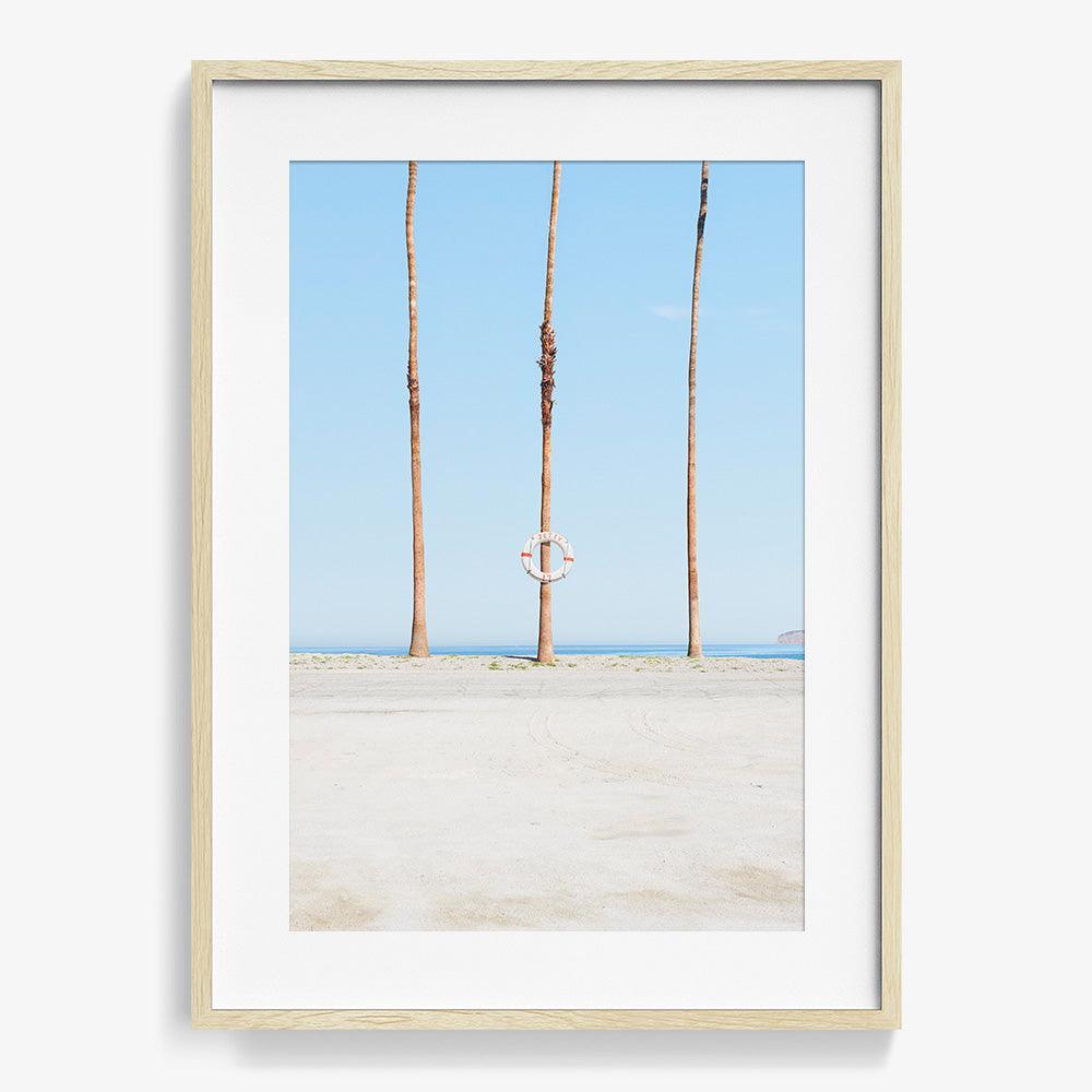 Jetty 17