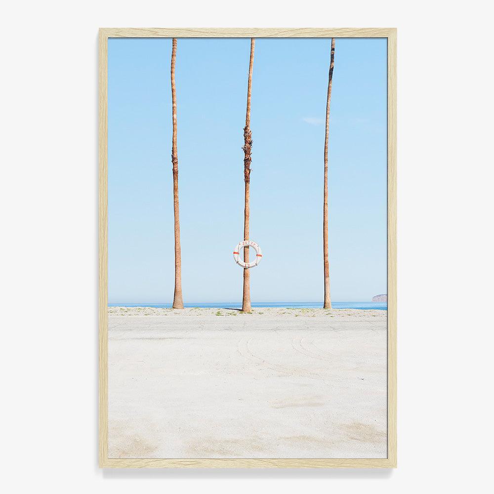 Jetty 17