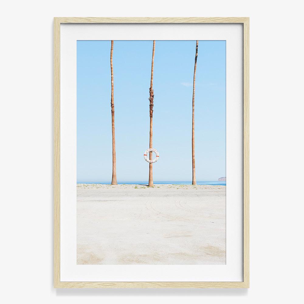 Jetty 17