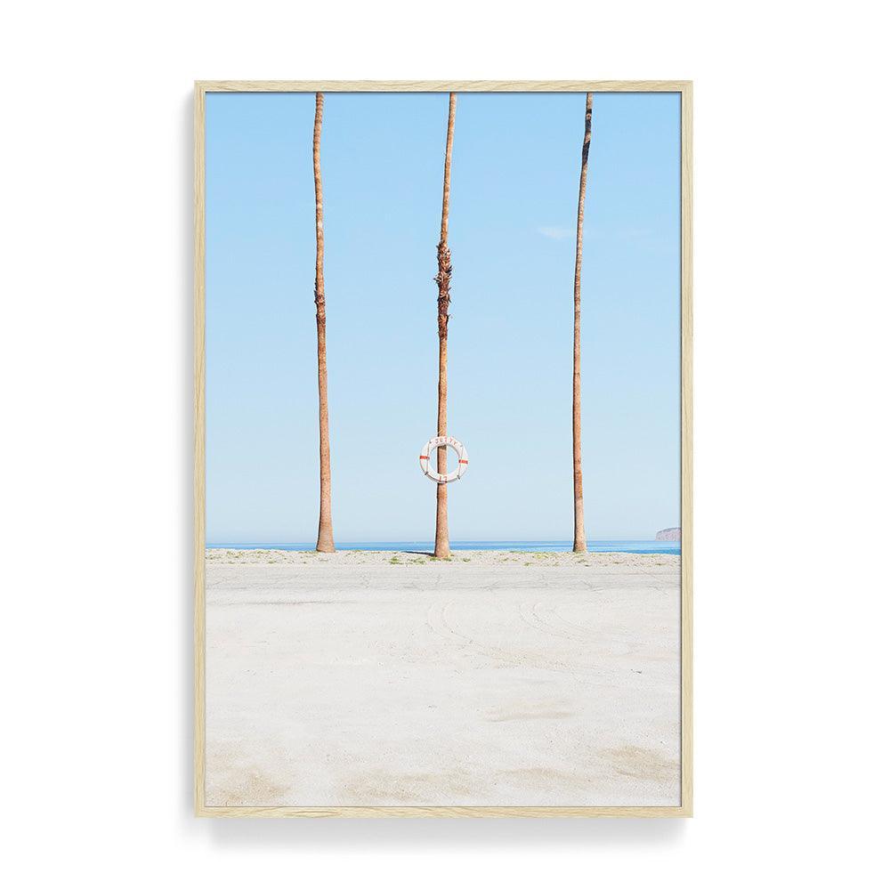 Jetty 17