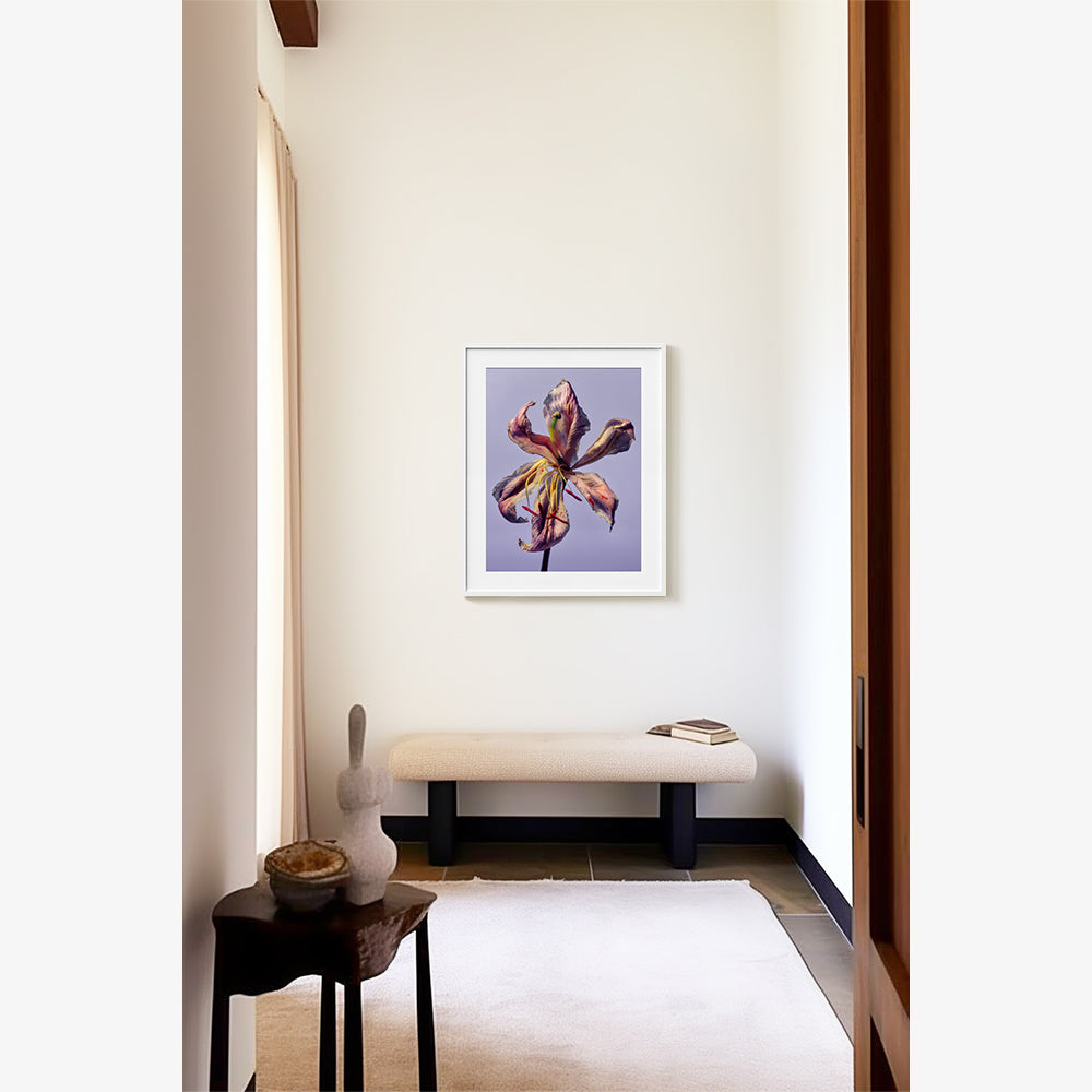 Photography by Jacques Brun