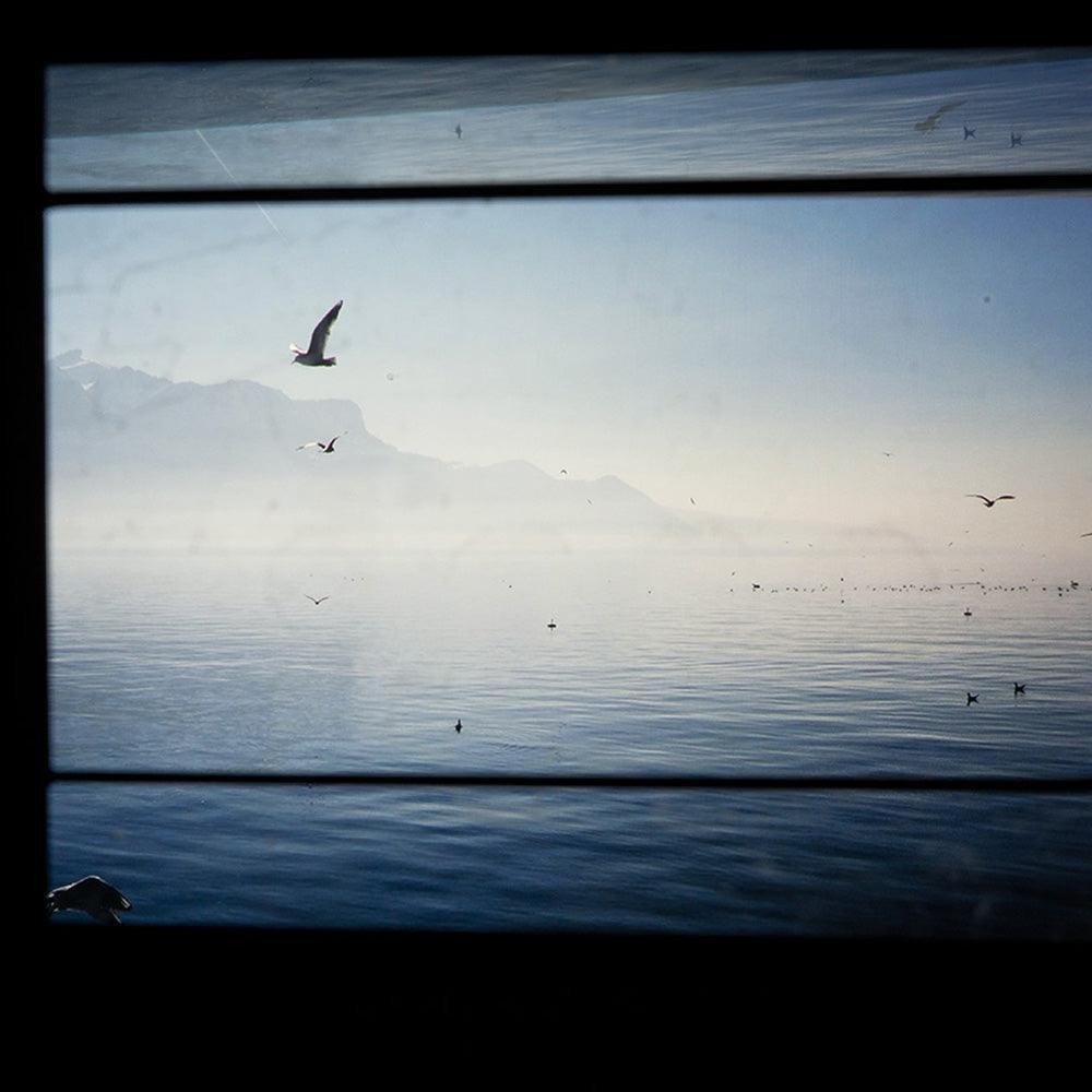 Photograph by Ilka Kramer