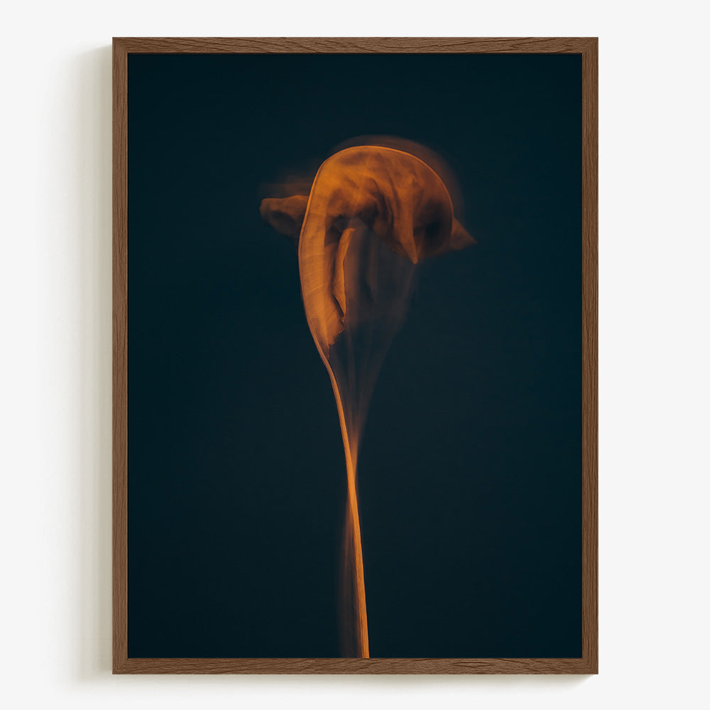 Photograph by Jan Prengel