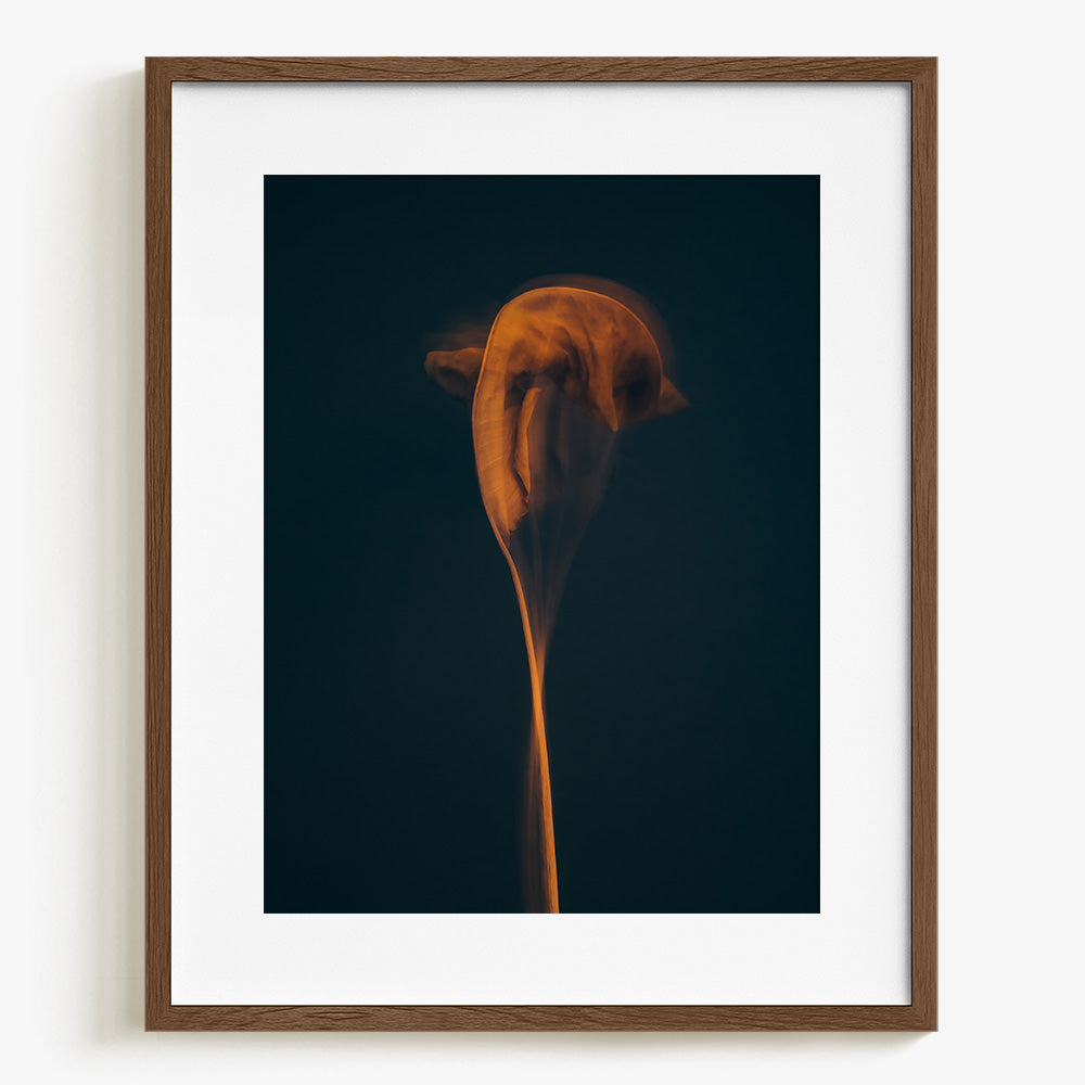 Photograph by Jan Prengel