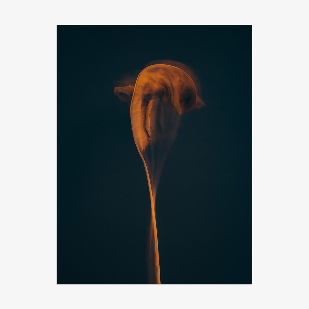 Photograph by Jan Prengel