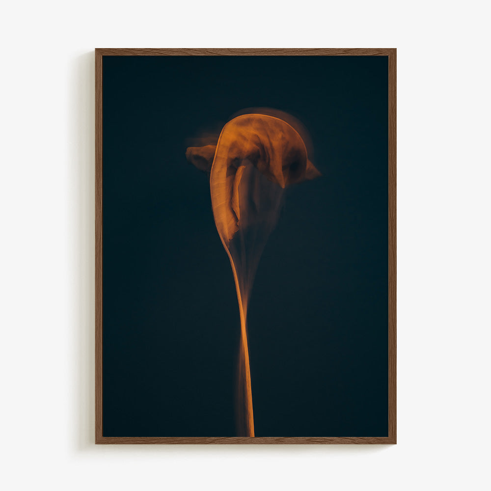 Photograph by Jan Prengel