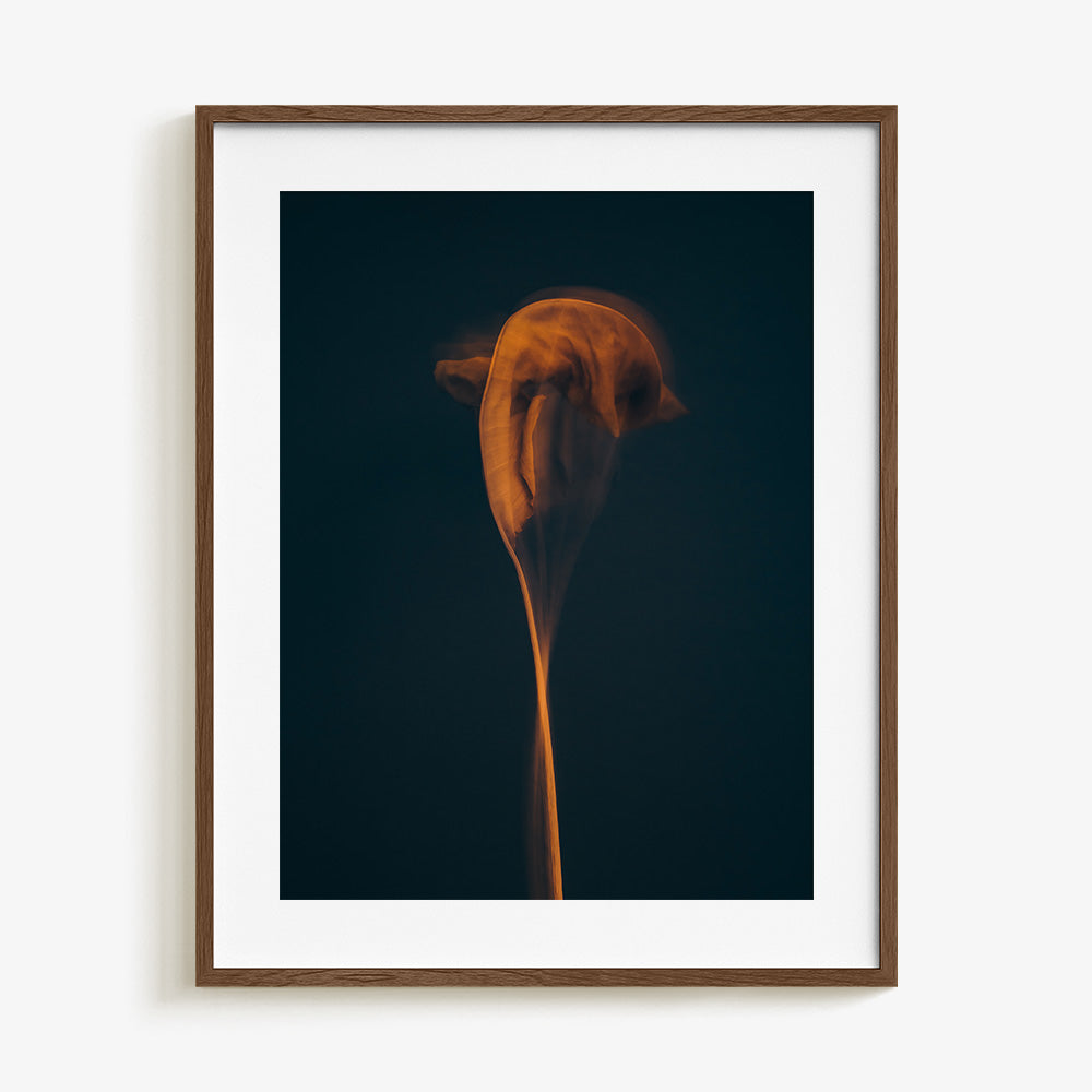 Photograph by Jan Prengel