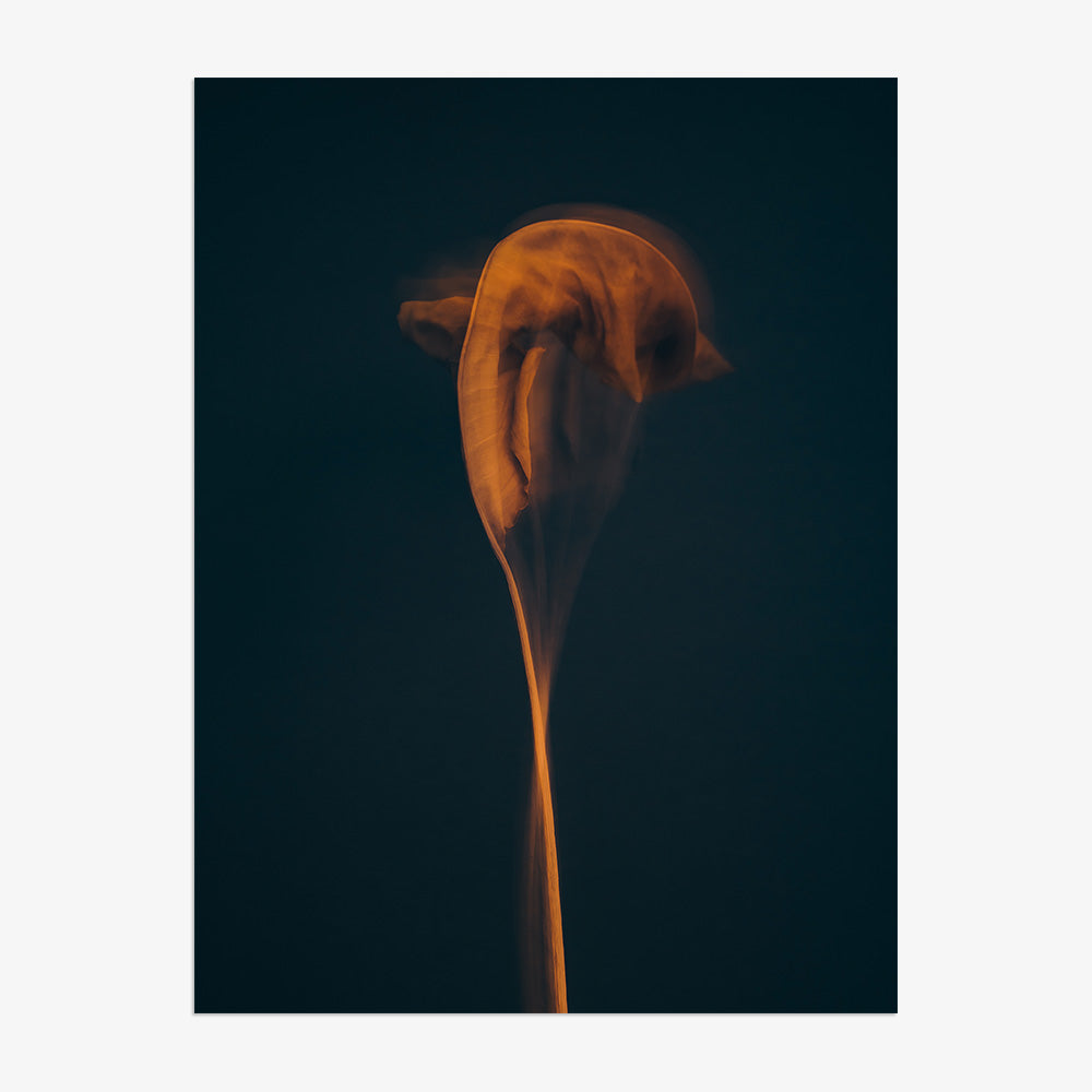 Photograph by Jan Prengel