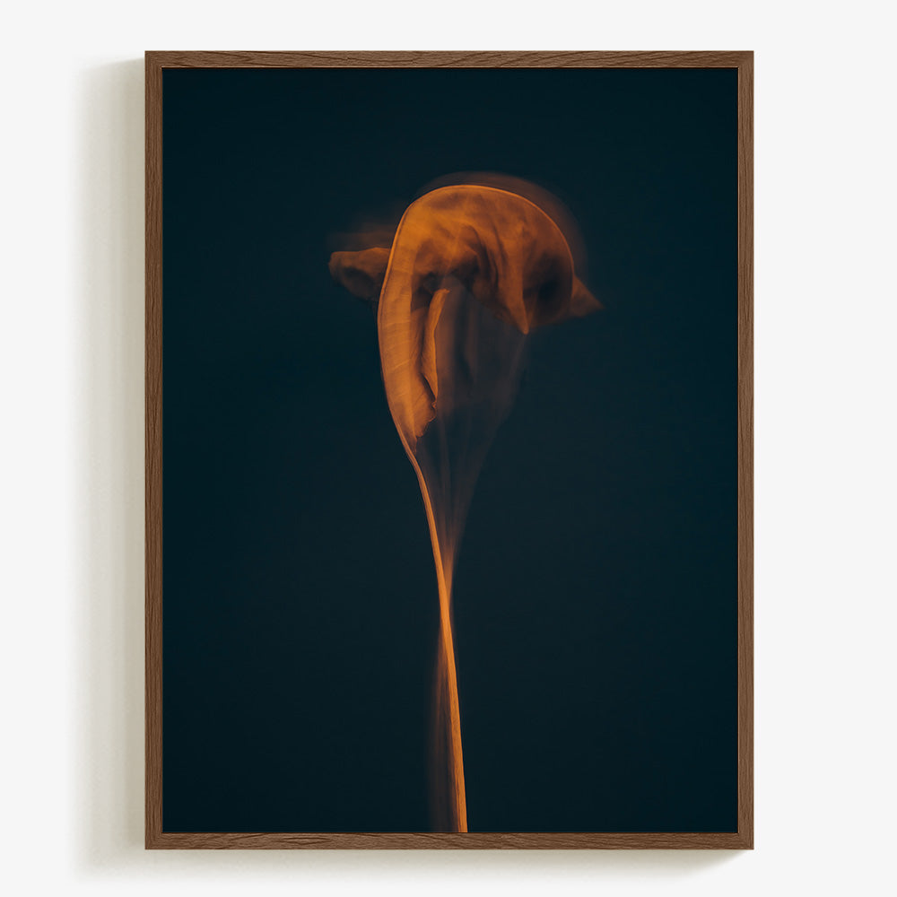Photograph by Jan Prengel