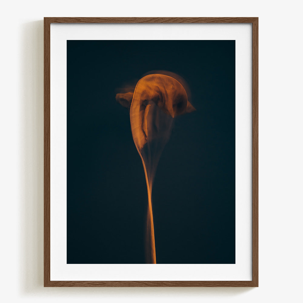 Photograph by Jan Prengel