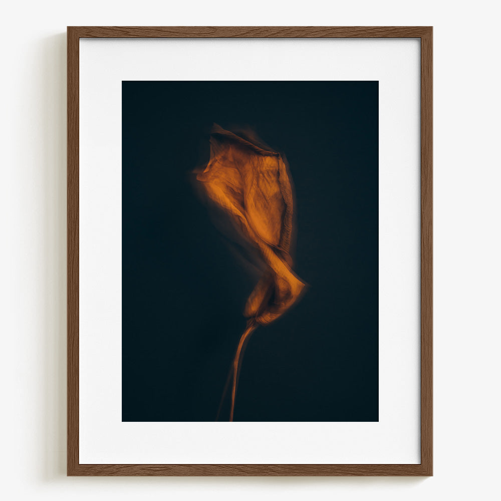 Photograph by Jan Prengel