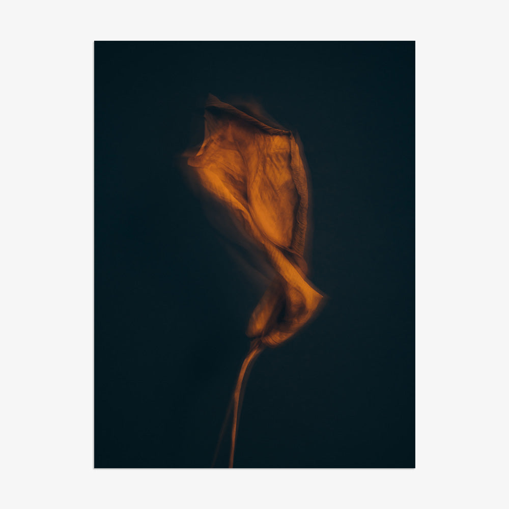 Photograph by Jan Prengel