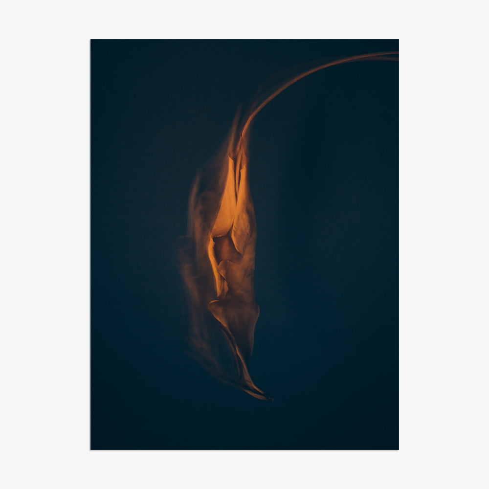 Photograph by Jan Prengel