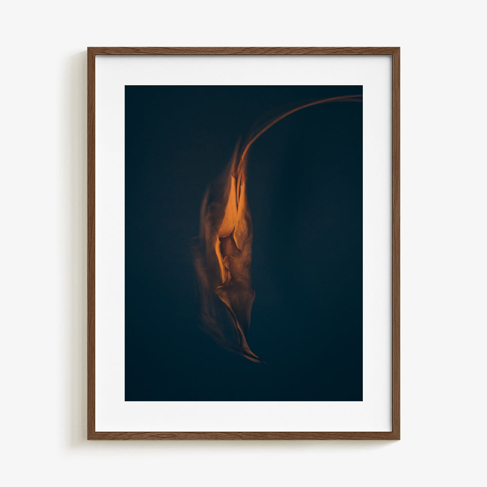 Photograph by Jan Prengel