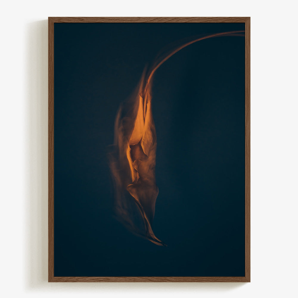 Photograph by Jan Prengel