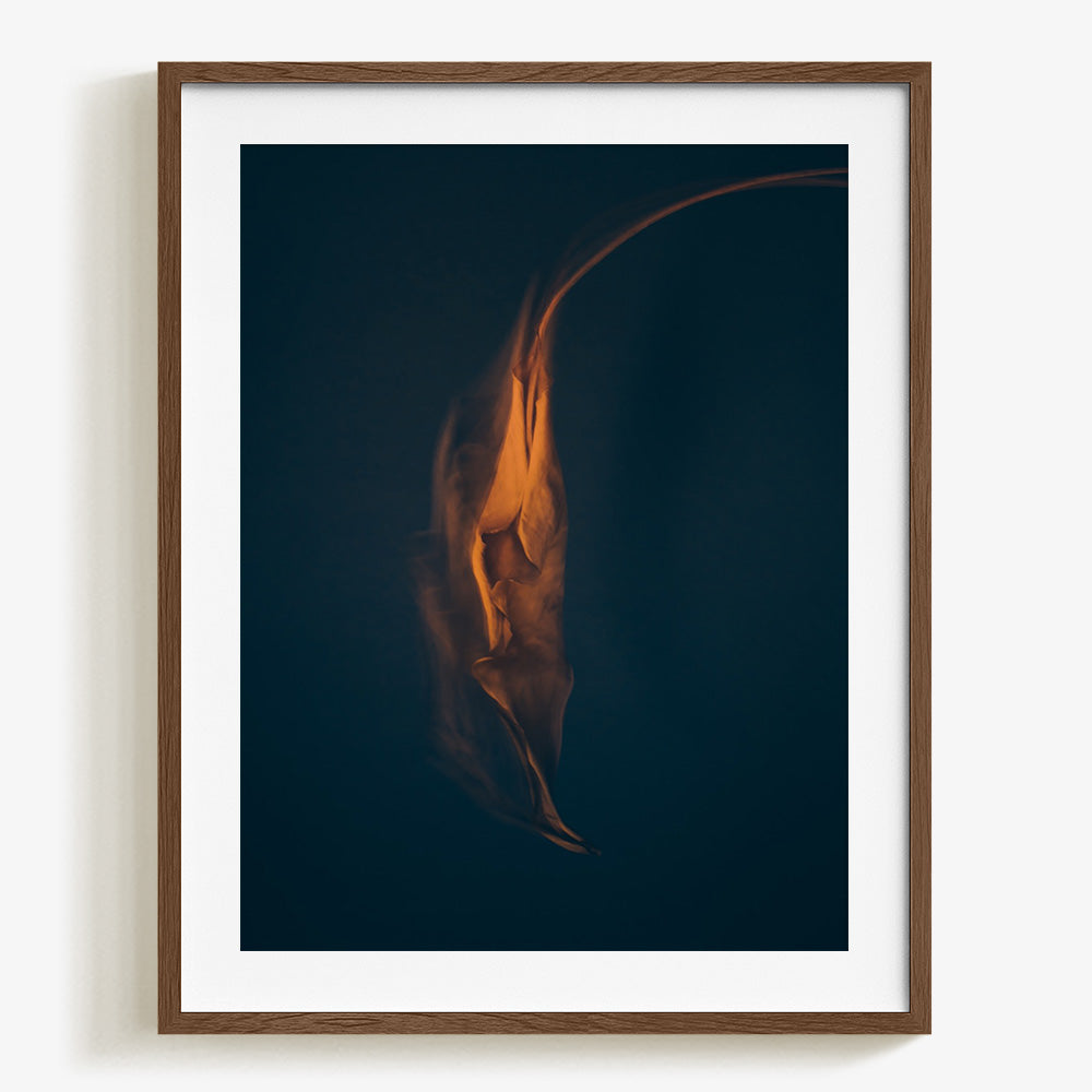 Photograph by Jan Prengel