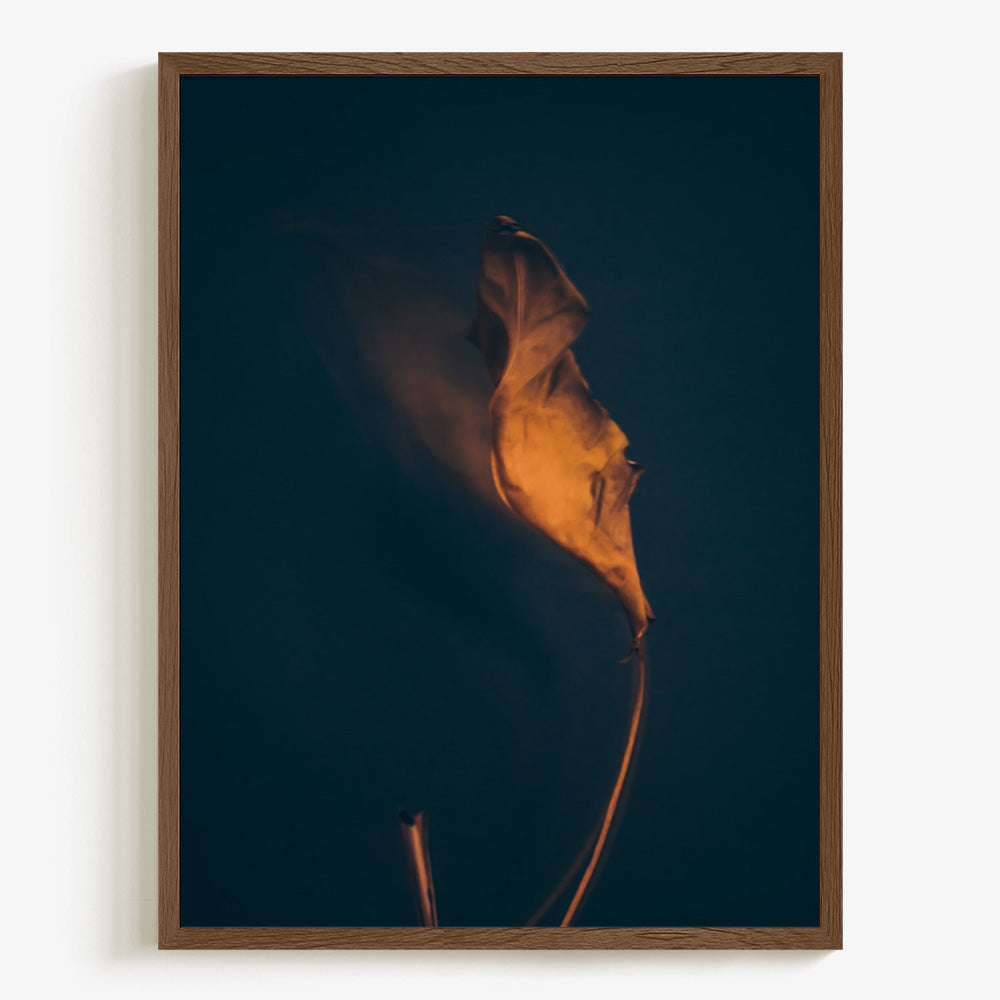 Photograph by Jan Prengel